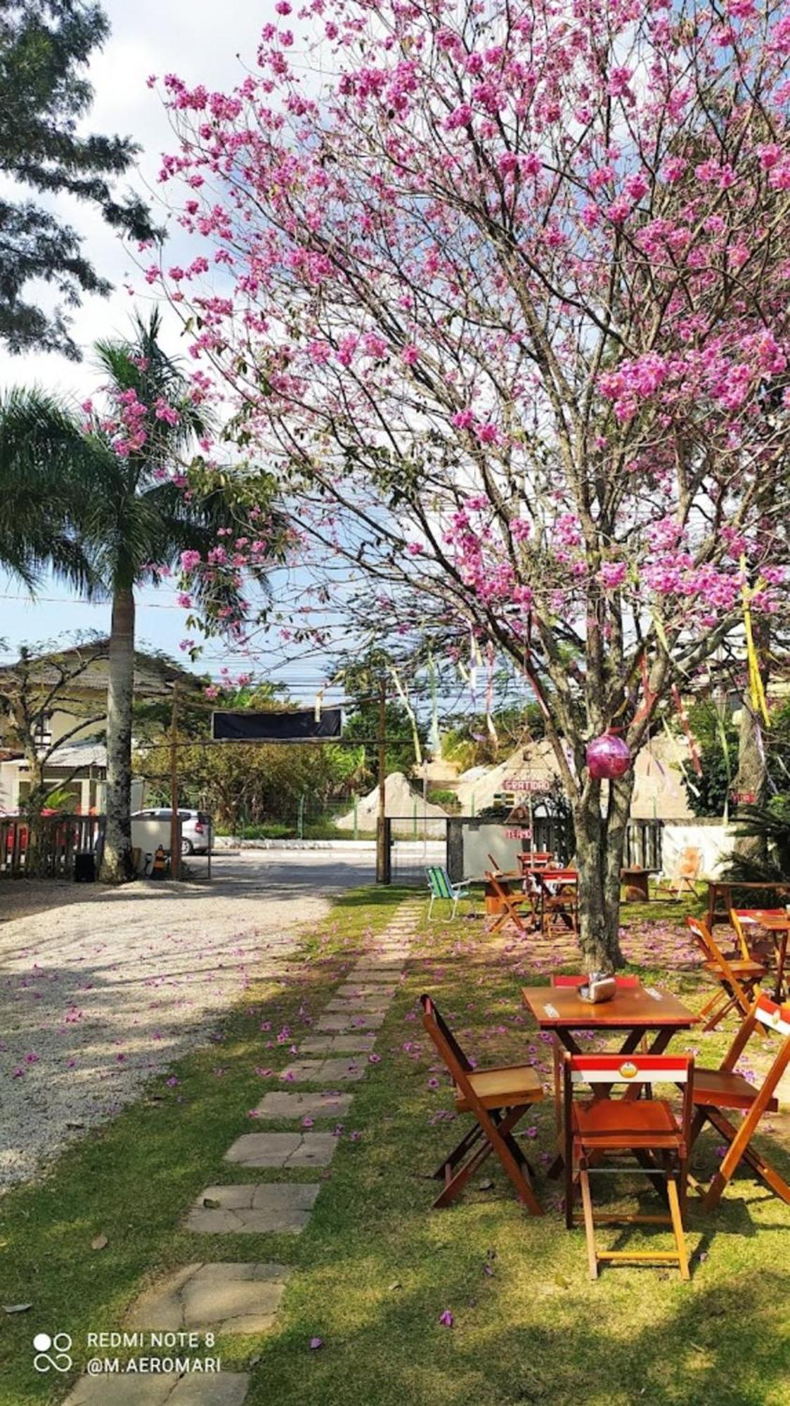 Nomades Vibe Da Ilha - Adventure Hostels & Coworking Florianopolis Exterior photo